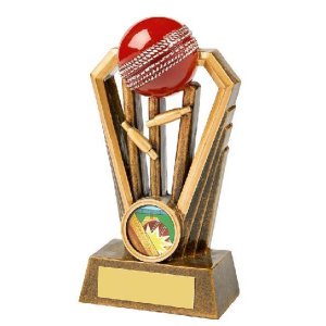 RS877 Resin Cricket Ball and Stumps