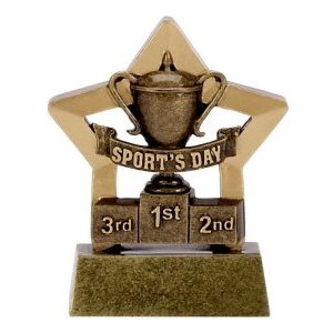 A1114 Mini Star Sports Day